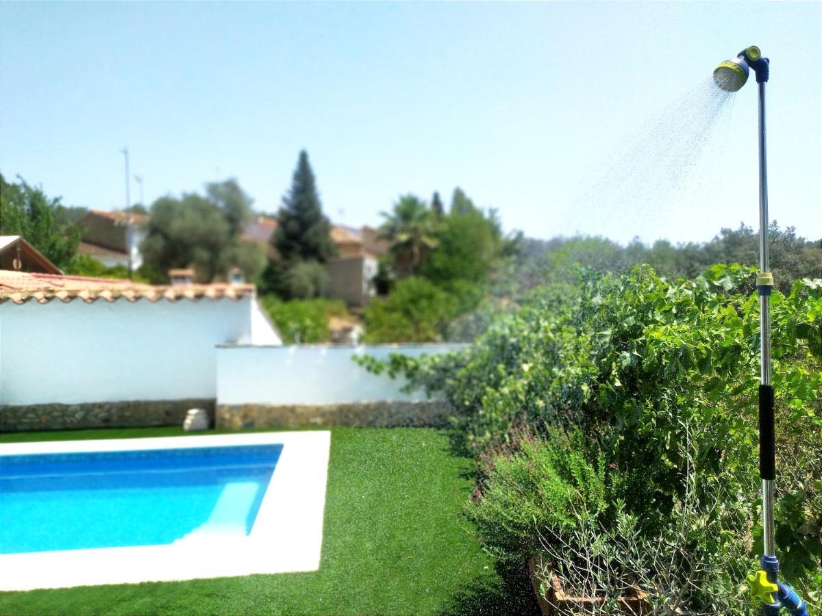 Casa Rural El Olivo Αραθένα Εξωτερικό φωτογραφία