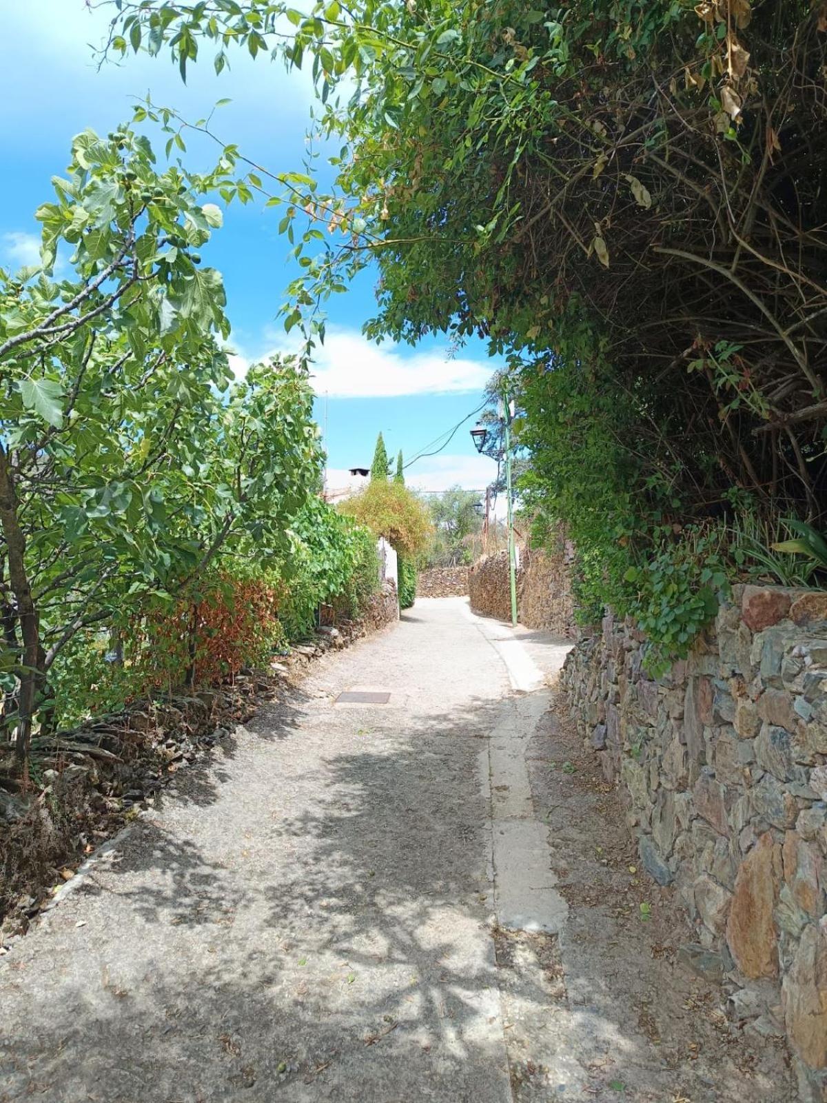 Casa Rural El Olivo Αραθένα Εξωτερικό φωτογραφία