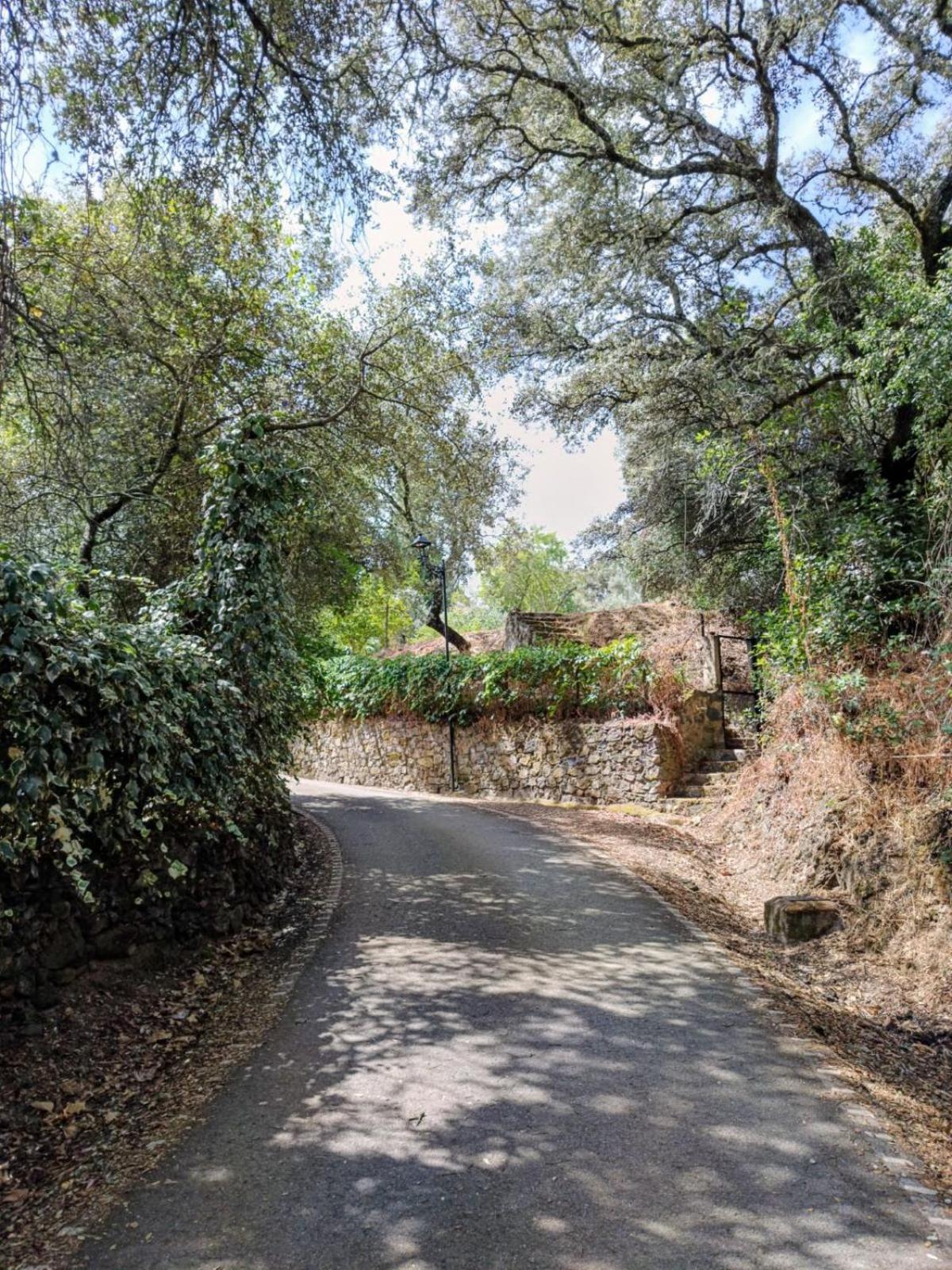 Casa Rural El Olivo Αραθένα Εξωτερικό φωτογραφία