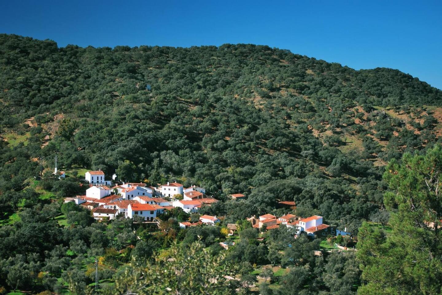Casa Rural El Olivo Αραθένα Εξωτερικό φωτογραφία