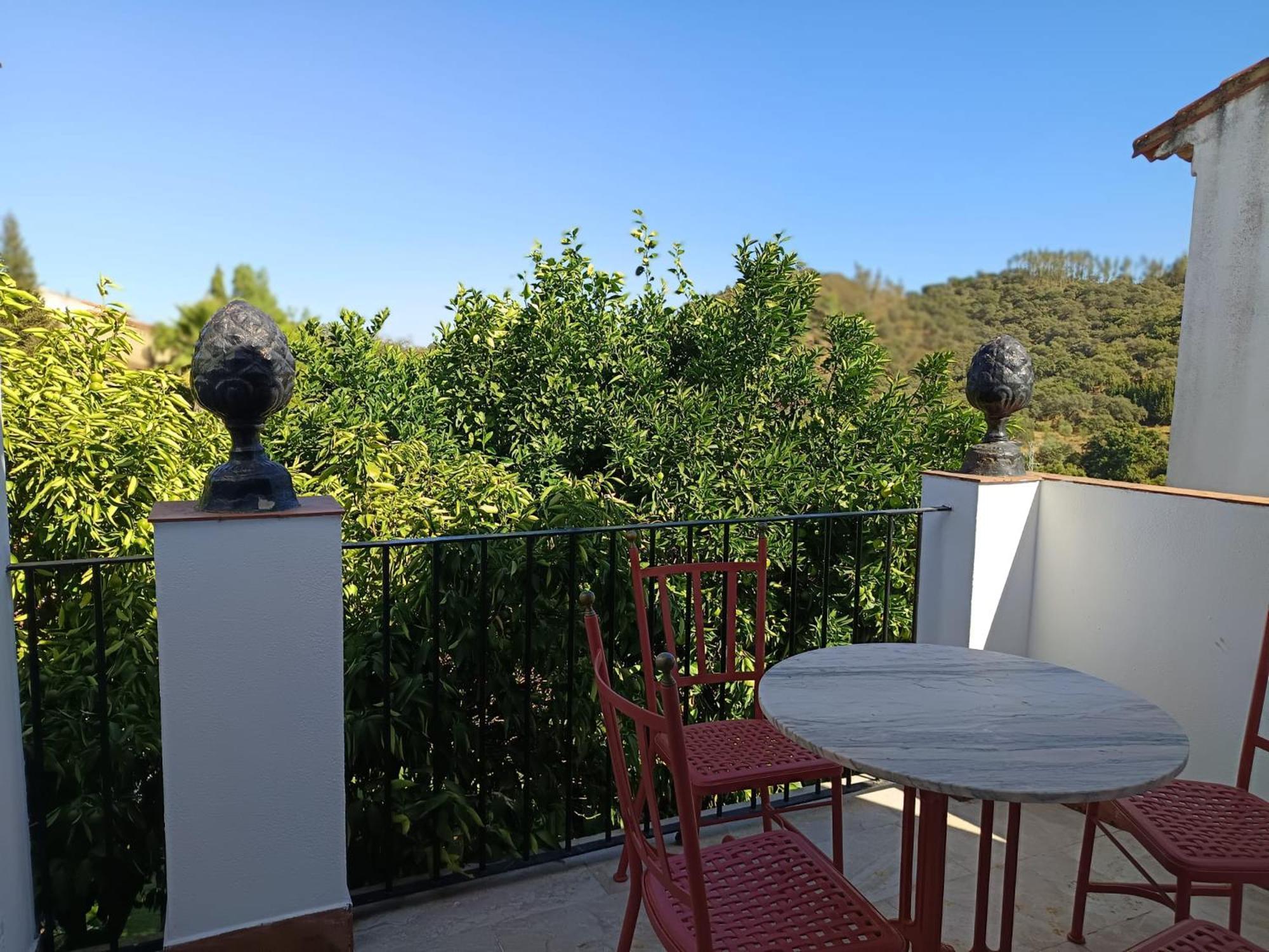 Casa Rural El Olivo Αραθένα Εξωτερικό φωτογραφία